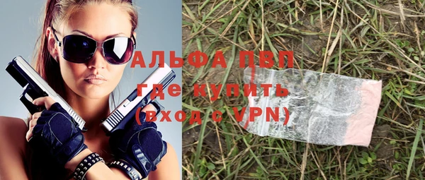 шишки Верхний Тагил