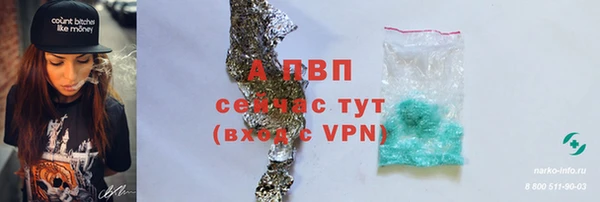 шишки Верхний Тагил
