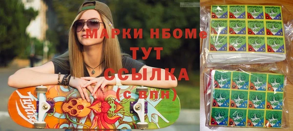 шишки Верхний Тагил