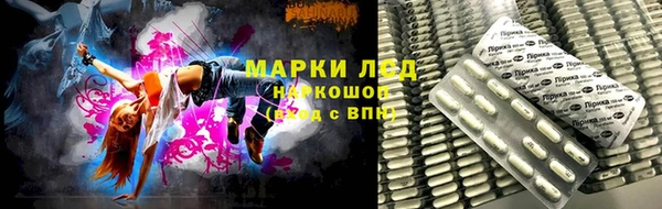 шишки Верхний Тагил