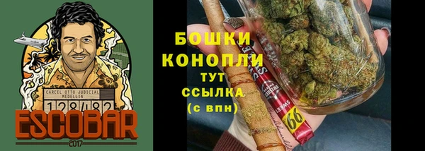 шишки Верхний Тагил