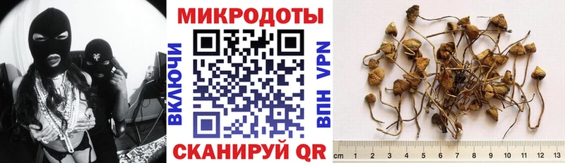 Псилоцибиновые грибы ЛСД  как найти   Рузаевка 