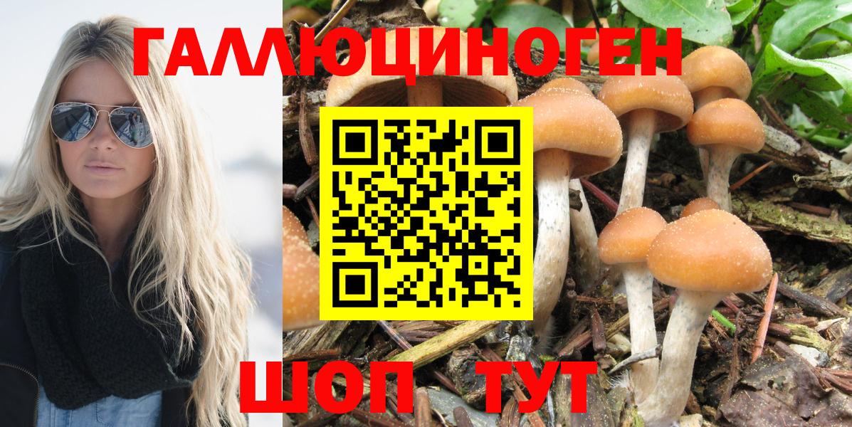 Псилоцибиновые грибы Рузаевка