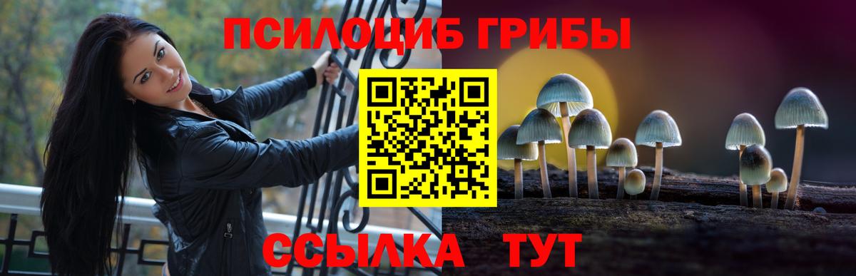 Галлюциногенные грибы Psilocybine cubensis  Вход с VPN  продажа наркотиков  Рузаевка 