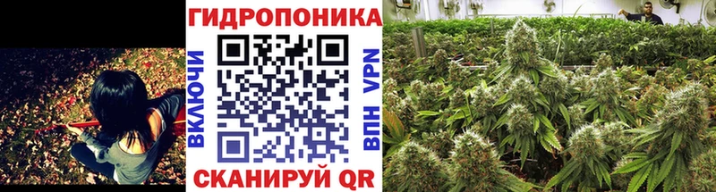 как найти   Рузаевка  Шишки марихуана White Widow 
